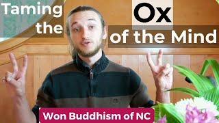 Herding the Ox of the Mind Part 2 by Nik Wall (Won HaeWol)