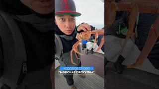 Камчатка популярная экскурсия  морская прогулка на остров Старичков и бухту Русская