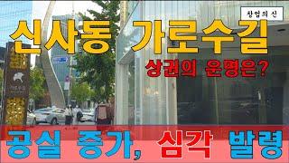강남 상권의 꽃 가을의 신사동 가로수길, 심각 단계 발령
