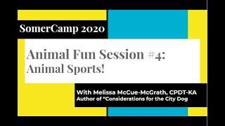 Somercamp 2020: Snail Racing, Horse Soccer and Bunny Agility - Animals in Sports