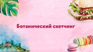 Как нарисовать кактус. Урок рисования. Скетчинг для начинающих.