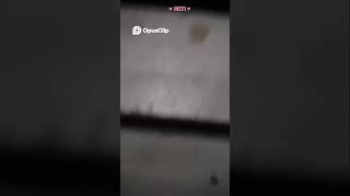 Creepy Crawling Thing Caught on Camera! What IS It !