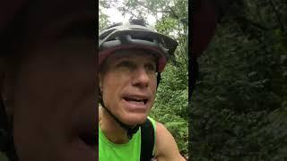 Biking Through a Rainforest!