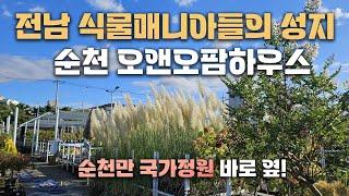 식물부터 정원관련 용품들을 모두 한 자리에서 만날 수 있는 역대급 원스톱 쇼핑센터... 부럽네요..