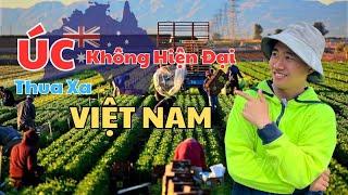 ÚC KHÔNG HIỆN ĐẠI THUA XA VIỆT NAM? | TRẦN ANH SƠN