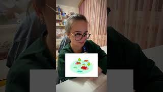 #english #английский #репетитор #learnenglish #английскийязык