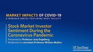 Stock Market Investor Sentiment During the COVID-19 Pandemic