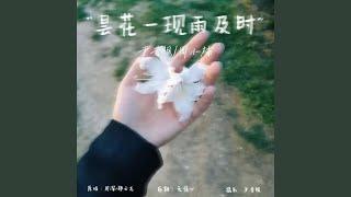 昙花一现雨及时