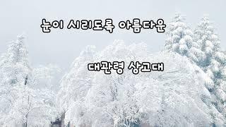 눈이 부시도록 아름다운 대관령 상고대