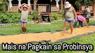 Ang Mais na pagkain sa Probinsya...