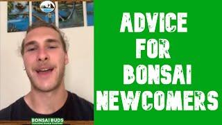 Don't Get Discouraged If Your Bonsai Dies! Advice for Newcomers From Apprentices - Bonsai Time 01