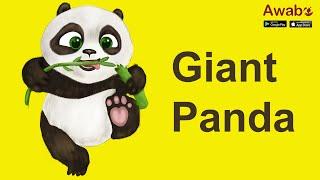 Giant Panda | Animal | English Listening | Awabe