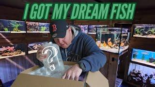 Dream New Fish | Fish Shop Tour | Fish Room