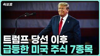 [속보효] 트럼프 당선이후 급상승한 7종목의 답안지 공개