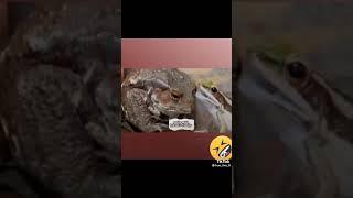 https://youtu.be/Y0E9w2Kg8UM