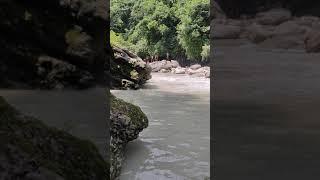 Dehradun Diaries| Explore Real Uttarakhand With Us| The Traveller Yogi| Adventure| River of Dehradun