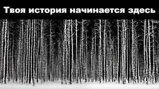 что такое звёздныйэкспресс? история о чемпионе пепла