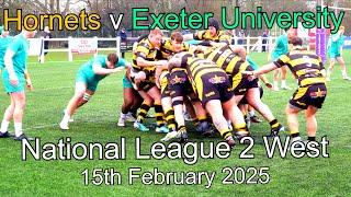 Hornets RFC v Exeter University RFC 15th February 2025
