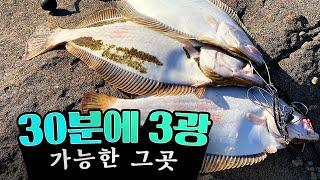 Catch 3 flatfish in instant (South Korea)