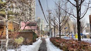 Seoul Winter Walk: Jamwon Station to Apgujeong Station