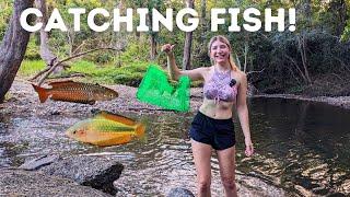 CATCHING RARE Native Australian Aquarium Fish!