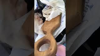 31.052025 уже выезжаем в приют