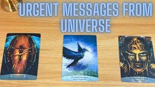 Urgent messages from universe and Spirit Guides|Pick a card reading |Tarot reading|Timeless️