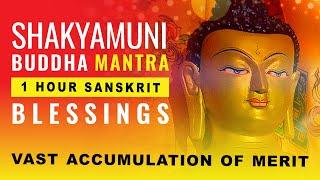 Shakyamuni Buddha Mantra 1 Hour in Sanskrit: Blessings and Vast Merit Accumulation & Auspiciousness