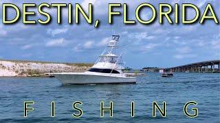 ULTIMATE Guide to Destin, Florida Fishing