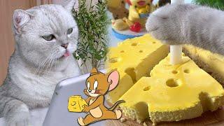 Chef Cat ChangAn || Tom&Jerry Cheese Cake || Dessert Collection || Cat Cooking Food ASMR