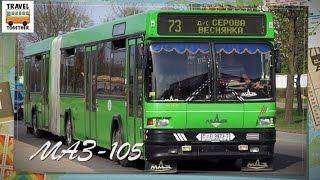 "Транспорт Беларуси". Автобус "МАЗ-105" | "Transport in Belarus". Bus "MAZ-105"