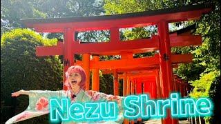 Nezu Shrine, an important cultural property with a history dating back 1900 years