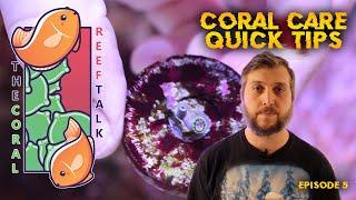 Coral Care Quick Tips with The Coral Reef Talk