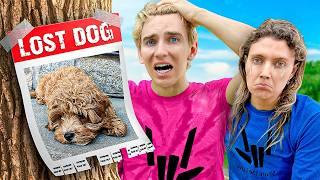 EVIL NEIGHBOR STOLE my sister Grace Sharer's DOG!!