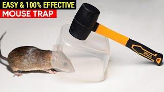 Best & Easy Mouse Trap Bucket - DIY Mouse Trap - Rat Trap Homemade