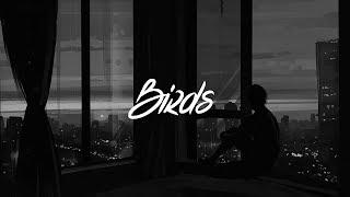 Imagine Dragons - Birds (Lyrics)