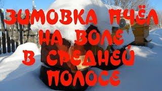 ВСЯ ПРАВДА О ЗИМОВКЕ ПЧЁЛ НА ВОЛЕ В СРЕДНЕЙ ПОЛОСЕ