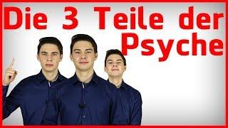 Die 3 Teile deiner Psyche: Strukturmodell der Transaktionanalyse nach Berne