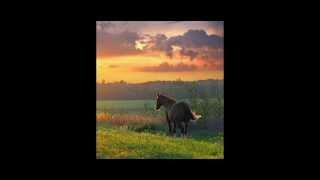 Maria Massalitina -  traditional Slavic healing song "Yarym Yarushko" (a capella, Live!)