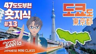 【SeeHa】일본의 수도 도쿄! 사실은 격차가 심한 곳이었다?! [#47도도부현숏지식]