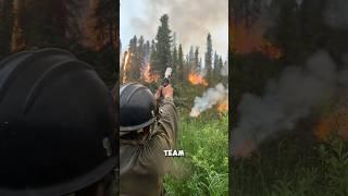 Who dreams of becoming a firefighter? (@alaskaDNRDOF)