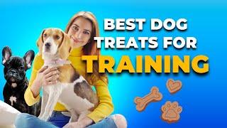 The Best Treats For Training Dogs
