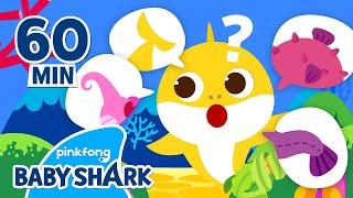 Where is Baby Shark's Tail? | +Compilation | Sing Along with Colors | Baby Shark Official