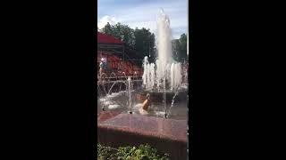 Кто-то танцует , а кто-то в фонтане купается ‍️