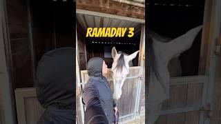 RAMADAY 3 : je monte à cheval pendant le Ramadan 