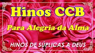 HINOS CCB LINDOS - 5-14-22-79-88-131-134-140-154-186-204-220-248-253-350-368-425-427-447-449