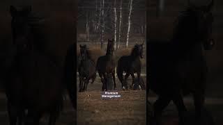 Александр Фридман про сильных сотрудников  #цитатадня #цитаты #цитатысосмыслом #александрфридман