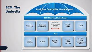 Risk Management Strategies: Business Continuity Management and Disaster Recovery - by Amber Howard