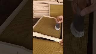 День 164/24  Подробней в телеграм канале "Пчела и Трутень". #пчёлы #пасека