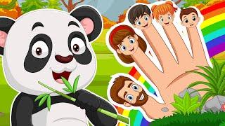 Finger Family Kids Collection Nursery Rhymes & Songs for Kids | Daddy Finger Mummy Finger